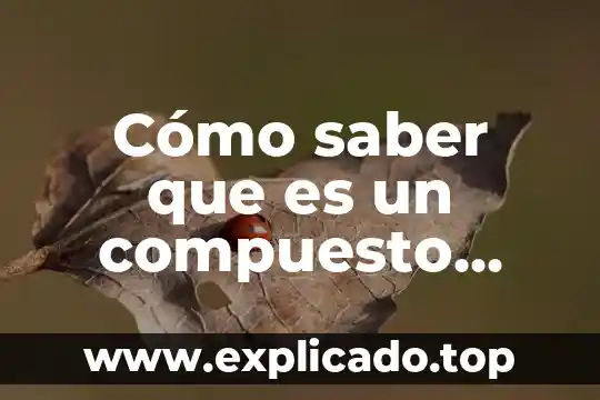 Que es y de que esta compuesto el sistema limbico 5 Cómo saber que es un compuesto orgánico