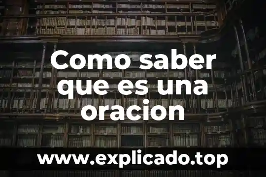 Truco para saber de que es un perro no ladre 7 Como saber que es una oracion