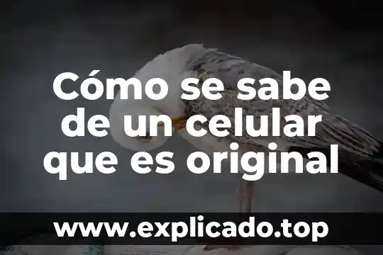 Un sociopata sabe que es sociopata 6 Cómo se sabe de un celular que es original