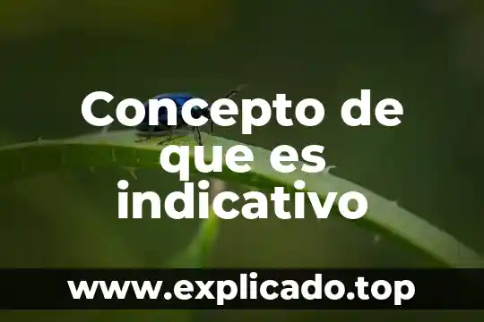 Que es el concepto de la ingenieria del sofwere 4 Concepto de que es indicativo