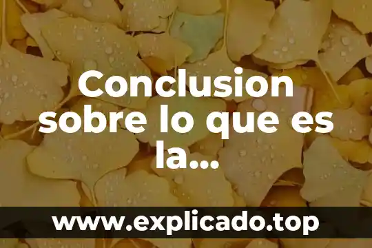 Conclusión digital que es 3 Conclusion sobre lo que es la productividad