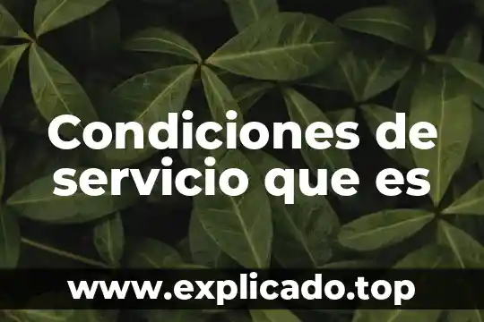 Que es el servicio becario 8 Condiciones de servicio que es