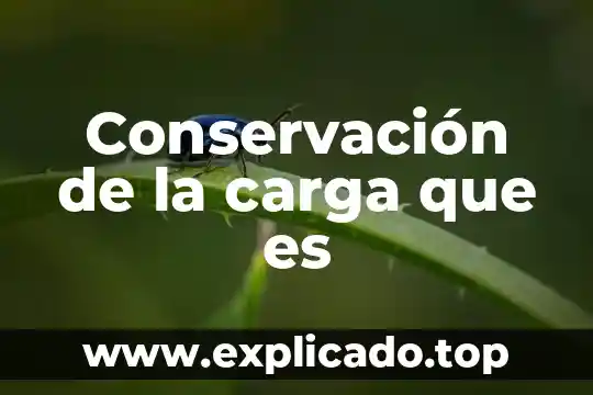 Que es una carga en puerto rico 4 Conservación de la carga que es