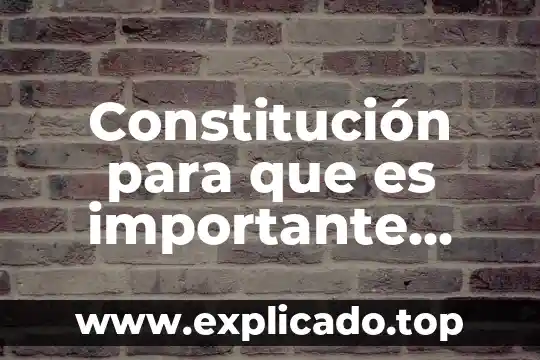 Que es ser ubn estudiante autonomo 5 Constitución para que es importante para el país