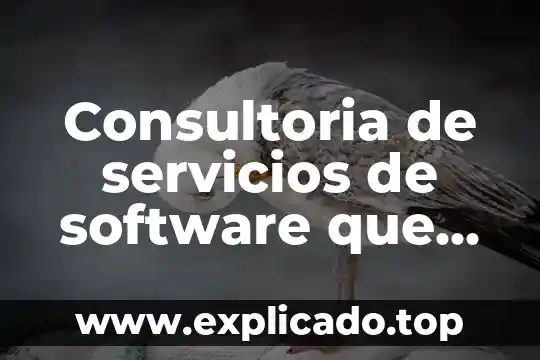 Que es consumidor de software 3 Consultoria de servicios de software que es
