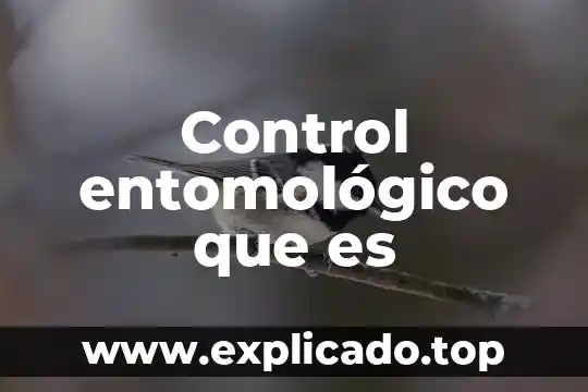 Que es un lazo de control en instrumentacion 8 Control entomológico que es