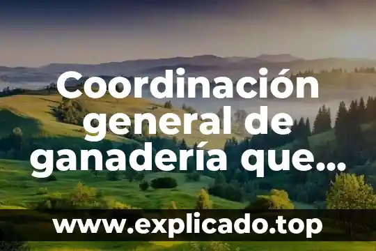Que es middleware basado en coordinacion 3 Coordinación general de ganadería que es