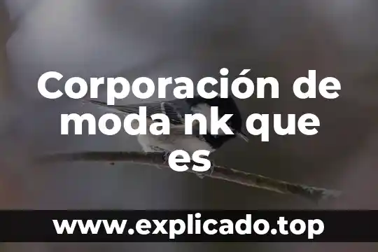 Que es corporacion mapa menat 8 Corporación de moda nk que es
