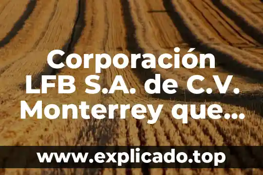 Que es corporacion mapa menat 7 Corporación LFB S.A. de C.V. Monterrey que es