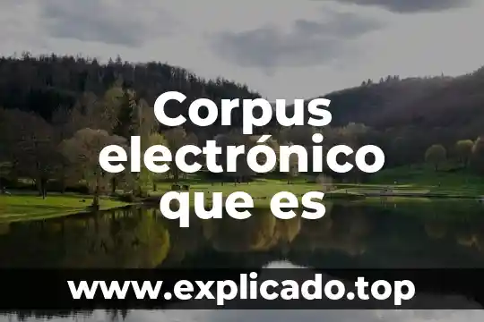 Que es arqueo electronico 8 Corpus electrónico que es