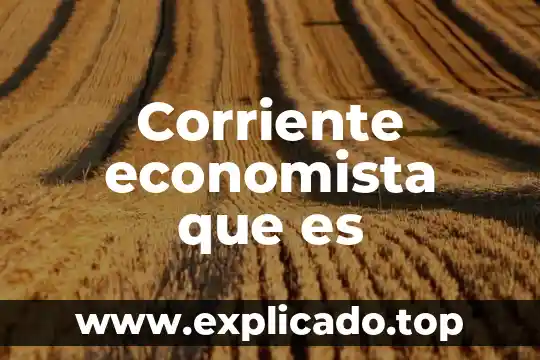 Por que es importamte un economista financiero 4 Corriente economista que es