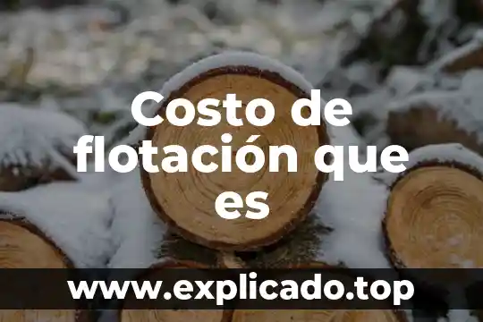 Costo de flotación que es