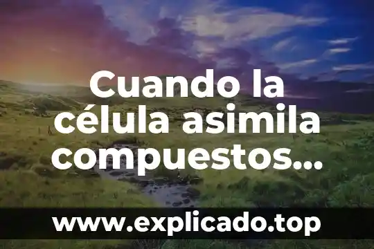 Que es una aplicación de anticipos 3 Cuando la célula asimila compuestos nutrición que es