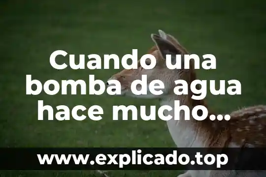 Cuando una bomba de agua hace mucho ruido que es