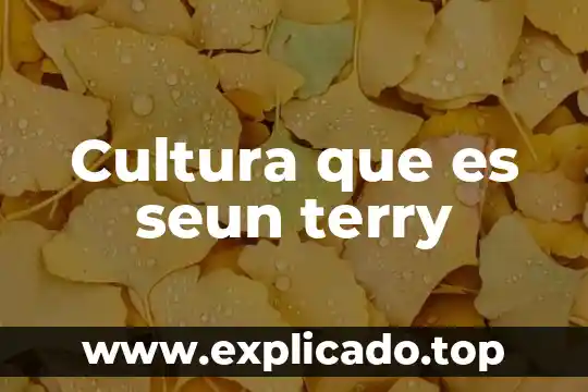 FDP en programación que es 6 Cultura que es seun terry
