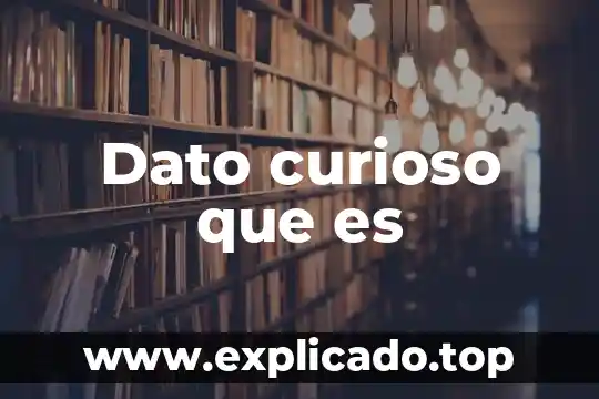 Qué es un dato vacío en investigación 3 Dato curioso que es