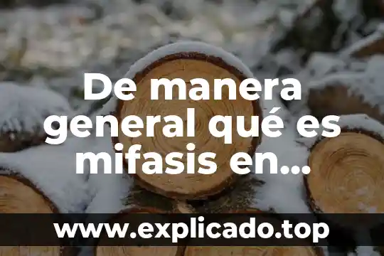 Que es el liber d una planta 8 De manera general qué es mifasis en biología