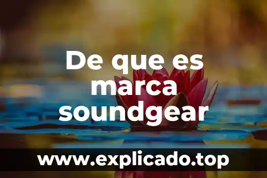 Marca de ropa que es un perro 3 De que es marca soundgear