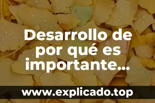 Que es or e ic estudios probabilidad 8 Desarrollo de por qué es importante seguir con los estudios