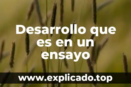 Ensayo que es la aviacion 8 Desarrollo que es en un ensayo