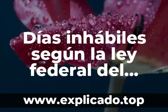 Secretaría de Gobernación Federal 5 Días inhábiles según la ley federal del trabajo que es