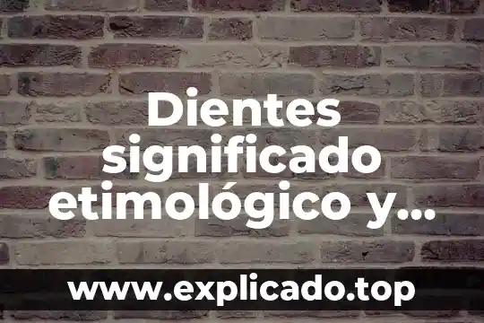 Carnaval qué es significado 3 Dientes significado etimológico y que es