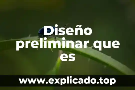 Diseño de diagnostico que es 3 Diseño preliminar que es