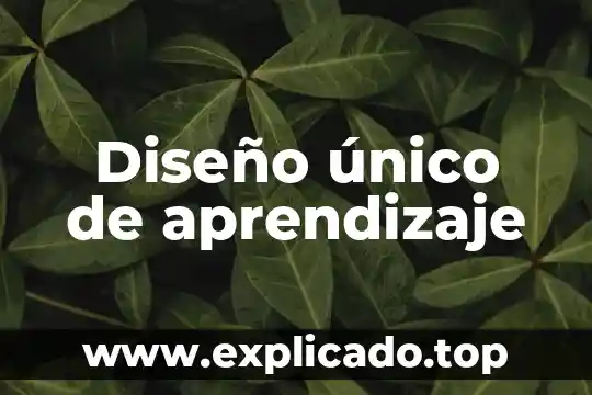 Hombre dice que es el único yahoo 8 Diseño único de aprendizaje