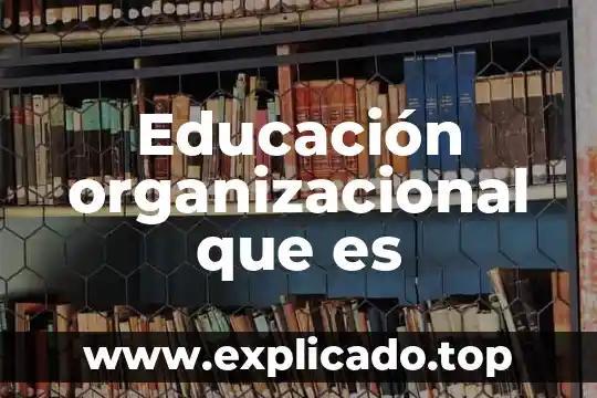 Que es el desarrollo organizacional caracteristicas etapas de proceso 8 Educación organizacional que es
