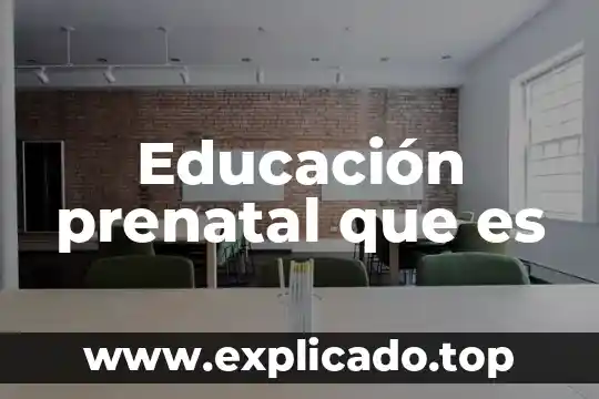 Educación prenatal que es