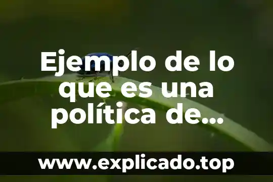 Qué es la calidad empresarial los antecedentes 3 Ejemplo de lo que es una política de calidad