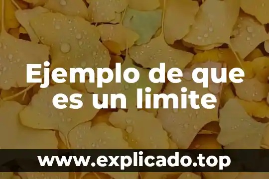 Que es el have un ejemplo 7 Ejemplo de que es un limite