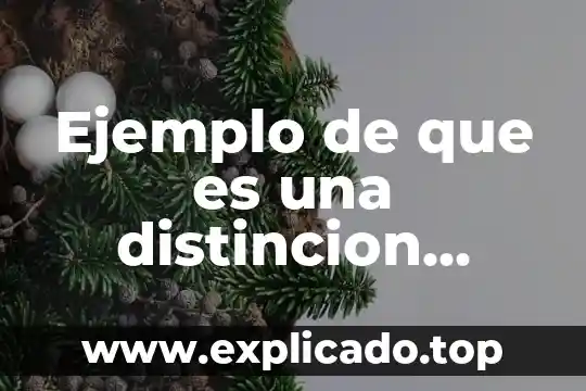 Que es la redacción académica científica 5 Ejemplo de que es una distincion academica