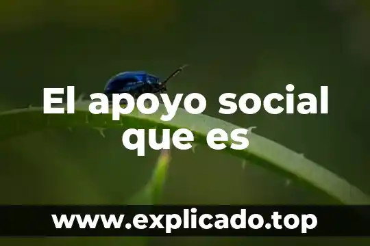 Que es un guion de apoyo y sus partes 3 El apoyo social que es