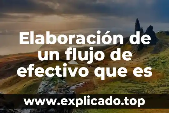Que es el raptor para diagramas de flujo 7 Elaboración de un flujo de efectivo que es