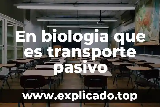 Que es pasivo y los tipos en una empresa 5 En biologia que es transporte pasivo