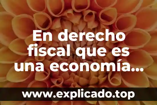 Qué es un percil ejemplos 4 En derecho fiscal que es una economía sana