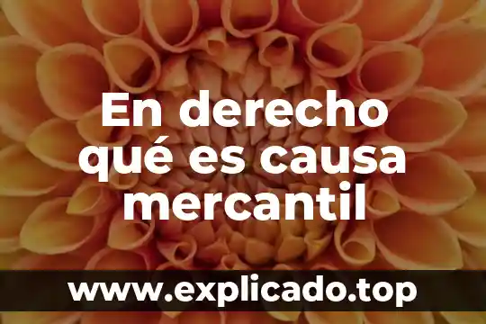 Que es un contrato mercantil comision obligaciones 8 En derecho qué es causa mercantil
