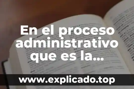 Que es programacion administrativo 8 En el proceso administrativo que es la negociación y conflictos
