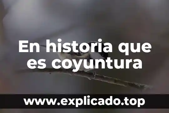 Que es un analisis de coyuntura ejemplo 6 En historia que es coyuntura