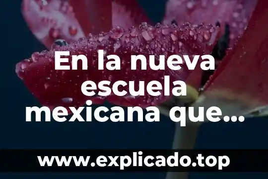 La buena nueva que es 3 En la nueva escuela mexicana que es un consejo tecnico