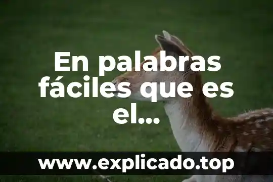 Que es analisis contable 4 En palabras fáciles que es el reconocimiento contable y valuación