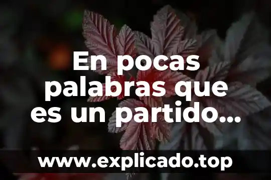 Que es un emprendedor político 8 En pocas palabras que es un partido politico