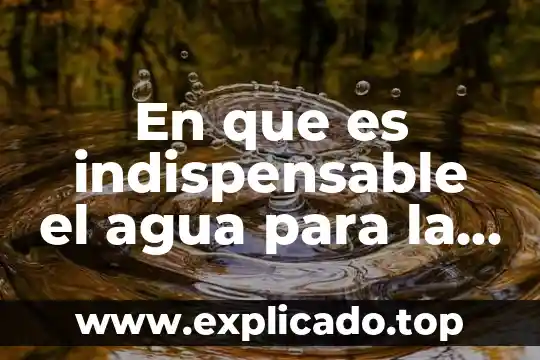 En que es indispensable el agua para la vida