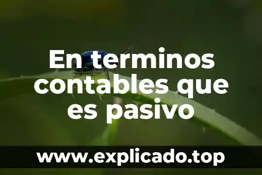 Qué es términos anatómicos para los planos 3 En terminos contables que es pasivo