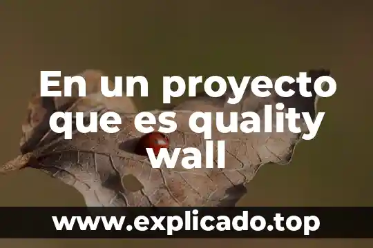 Que es lo que debe contener un proyecto 6 En un proyecto que es quality wall