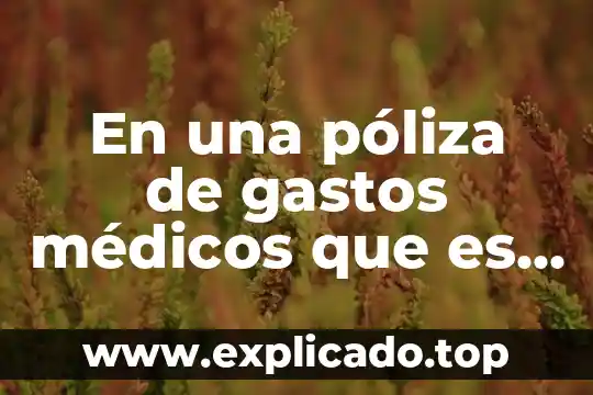 En términos médicos qué es vehículo 8 En una póliza de gastos médicos que es el deducible