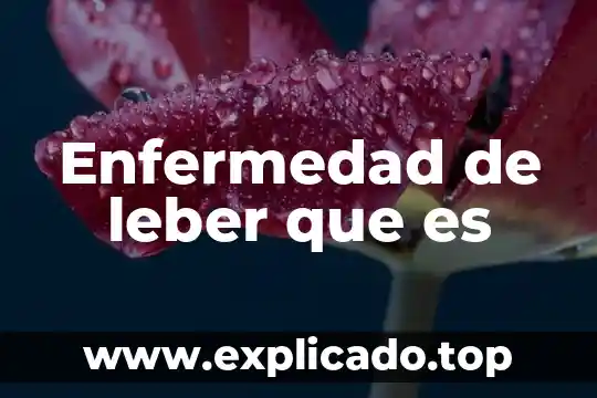 Que es enfermedad cronica degenerativa 3 Enfermedad de leber que es