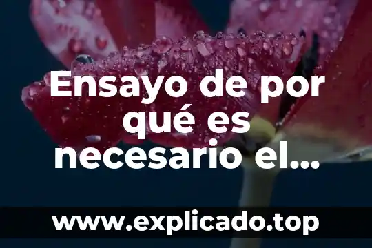 Qué es la moda sustentable 3 Ensayo de por qué es necesario el desarrollo sustentable