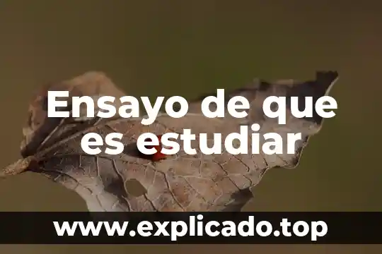 Que es estudiar para un examen 6 Ensayo de que es estudiar